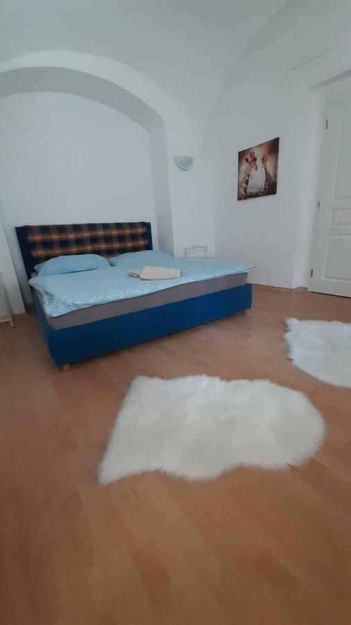 Big Modern Doubleroom Near Cathedral コシツェ エクステリア 写真